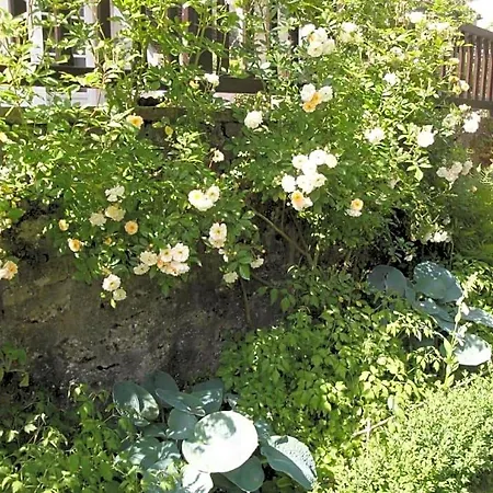 Bed & Breakfast Maison Verosia Saint-Loup-de-Naud